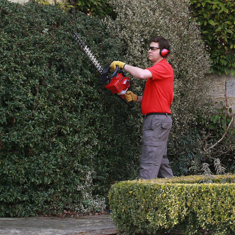 Tree Hedge Cutting tools for hire