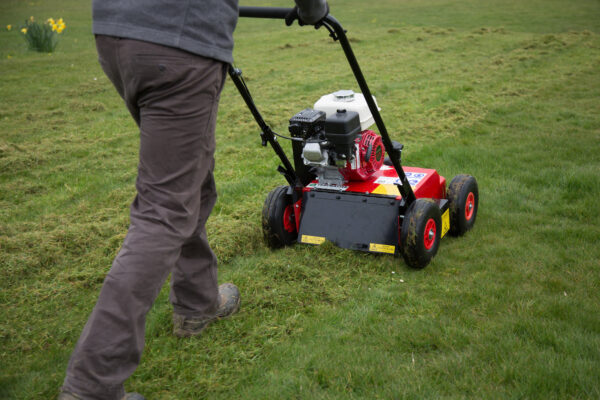 Petrol Lawn Scarifier